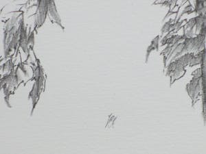 Peter Vos - Uil in boomtop - Litho kopen? Bied vanaf 100!