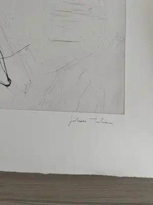 Johan Tahon - Mohawk kopen? Bied vanaf 590!