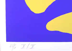 Benoit van Innis - Felle Hemel (H/S: X/X) kopen? Bied vanaf 1!