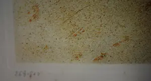 Henri de Toulouse-Lautrec - de geliefde clown Cha- U- Kao. kopen? Bied vanaf 60!