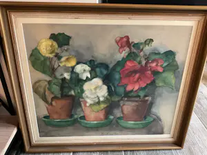 AcheterJo Kruyder-Bouman - Begonia’s? Enchérissez de 150!