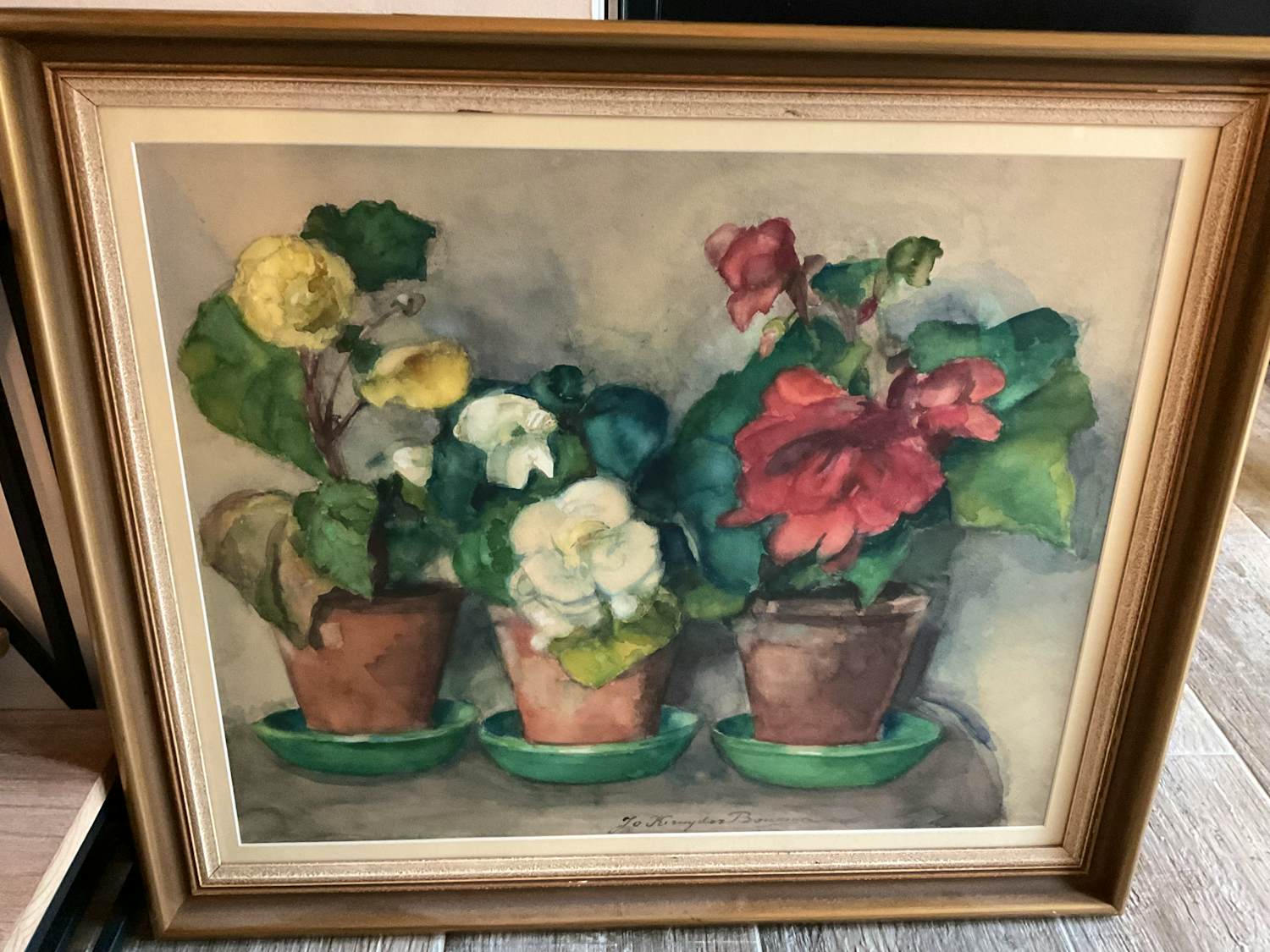 Jo Kruyder-Bouman - Begonia’s kopen? Bied vanaf 150!