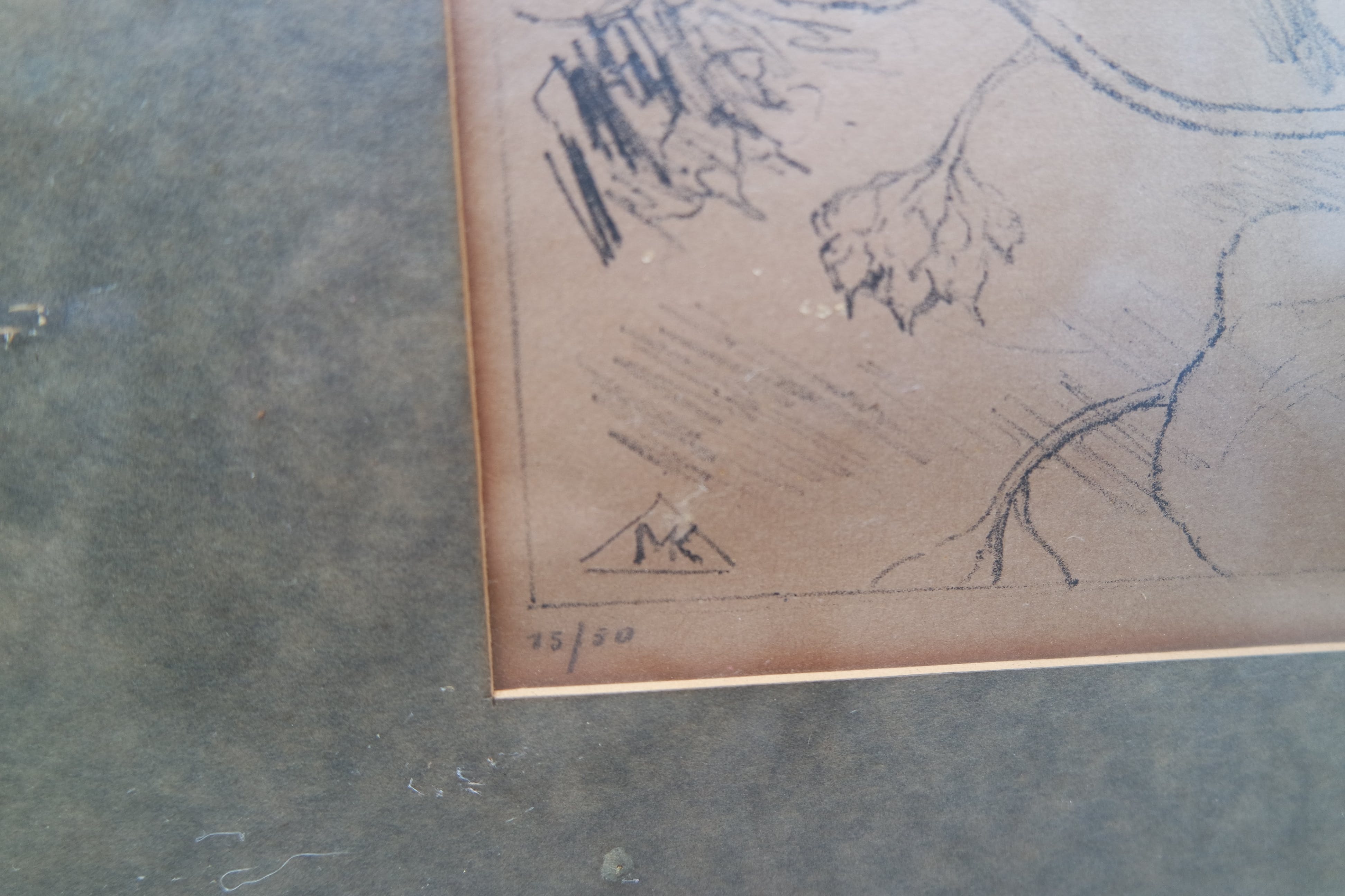 Marie Kelting - Marie Kelting - 2 Papagaaien. 15/50 kopen? Bied vanaf 15!