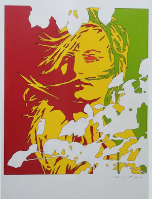 Buy Werner Berges - Girl - zeefdruk - drukgesigneerd - Jaren 1980? Bid from 65!