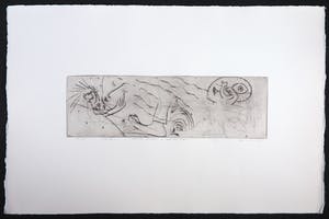 Henk Visch - Ets, De weg.... Voortgaan, spiegelend in doorzichtigheid nr. 14 kopen? Bied vanaf 1!