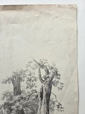 Barend Cornelis Koekkoek - Bomen. Litho. kaufen? Bieten Sie von 20!