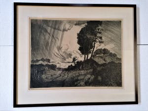 Hendrik de Laat - Storm kopen? Bied vanaf 70!
