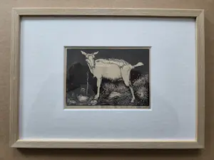 Jan Mankes - Geit. Ingelijst. kopen? Bied vanaf 20!