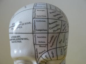 Curiosa - Phrenology head by L.N.Fowler - Met Kleur kopen? Bied vanaf 60!