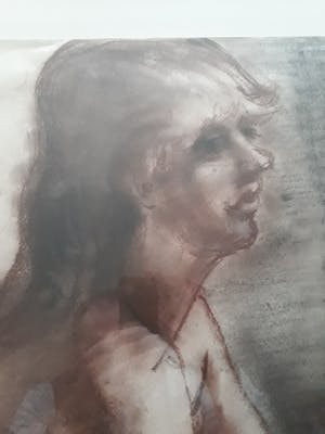 Jan van der Veer - geen titel kopen? Bied vanaf 50!