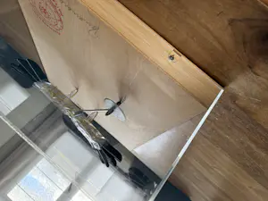 Panamarenko - Ravens variable matrix kopen? Bied vanaf 11000!