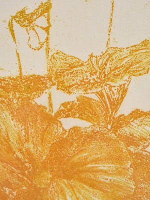 Marijke Fast - Plant V kopen? Bied vanaf 15!