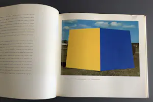 Ellsworth Kelly - Ellsworth Kelly kopen? Bied vanaf 55!