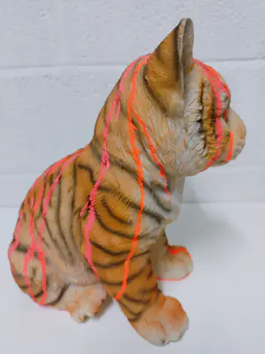 Hannes D'Haese - Tijger welp kopen? Bied vanaf 1!