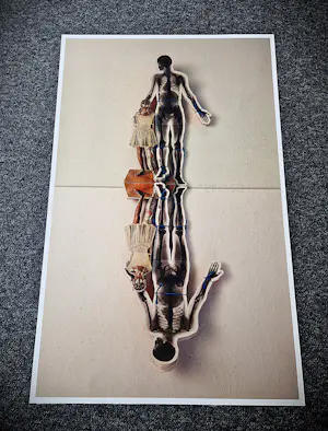 Merijn Bolink - Originele kleuren Piëzografie - transience mirror - zeer kleine A.P. oplage (5) kopen? Bied vanaf 70!