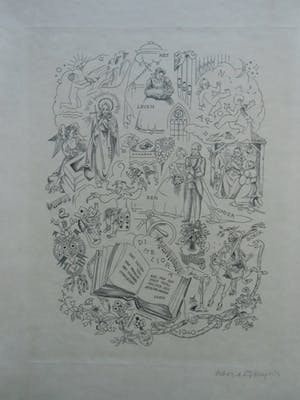 Debora Duyvis - HET LEVEN IS EEN WONDERBOEK kopen? Bied vanaf 25!