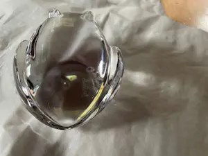 Val-Saint-Lambert - Kristallen press papier - 2 stuks: grote kikker & boomkikker kopen? Bied vanaf 80!