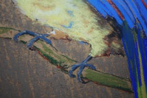 Hugo Berten - Papegaai - uit Berten's kunsthandel in Laren ca. 1930 kopen? Bied vanaf 110!