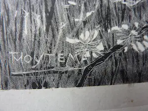 Theo van Hoytema - Lithografie op chine collé - Dood vogeltje 1904 kopen? Bied vanaf 100!