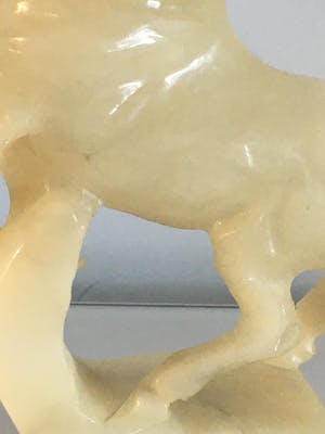 Niet of onleesbaar gesigneerd - Italian alabaster. Horse Sculpture kopen? Bied vanaf 1!