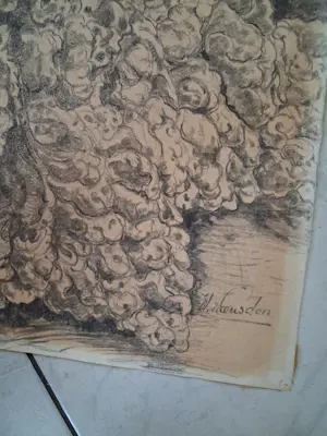 Willem van Leusden - Boerenkool kopen? Bied vanaf 100!