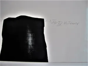 Niet of onleesbaar gesigneerd - Kleine oplage (15) ETS "state of energy - Concentration" gesigneerd "Ivanov" kopen? Bied vanaf 1!