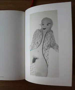 Marlene Dumas - boek: wet dreams kopen? Bied vanaf 45!