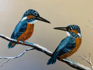 Henk Poeder - Vogels kopen? Bied vanaf 129!