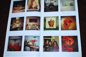 Erik Andriesse - 192 polaroids (oplage 500) & 2 andere gidsen kopen? Bied vanaf 75!