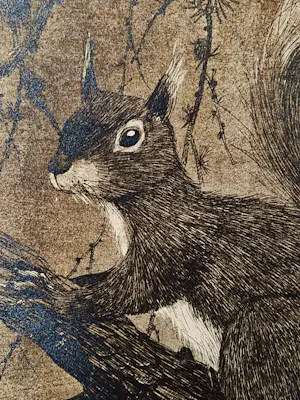 Henri Verstijnen - omstreeks 1930 - fraai gedetailleerde ETS "eekhoorn" potloodgesigneerd kopen? Bied vanaf 35!