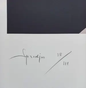 Rob Scholte - Sprookjes, zeefdruk (groot!) kopen? Bied vanaf 225!