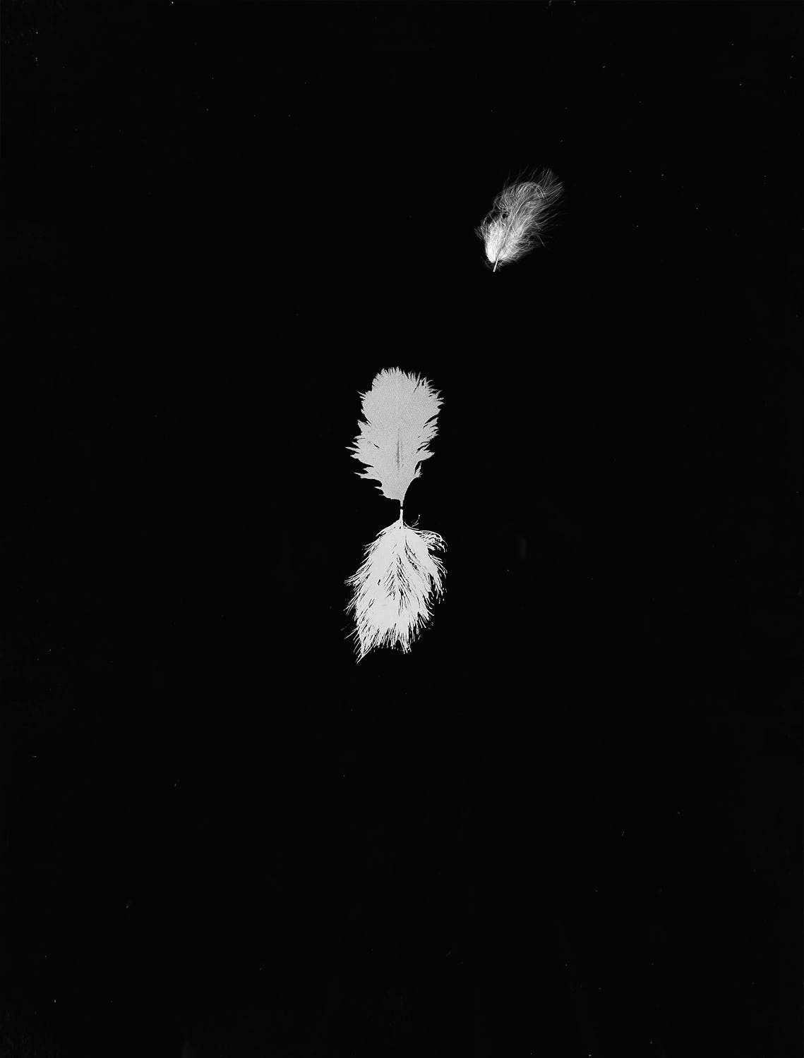 Henk Peeters - Het Veertje - 1982 - Zeefdruk op papier met veertje - Oplage 76/100 - Gesigneerd verkocht voor € 40!