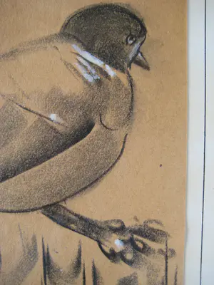 Chris Le Roy - houtduif in houtskool en pastel , handgesigneerd kopen? Bied vanaf 1!