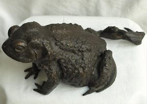 Niet of onleesbaar gesigneerd - Bronzen beeld , Kikker / Pad kopen? Bied vanaf 10!