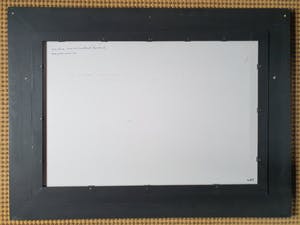 Jan Teunissen - Twee kalveren in weiland kopen? Bied vanaf 200!