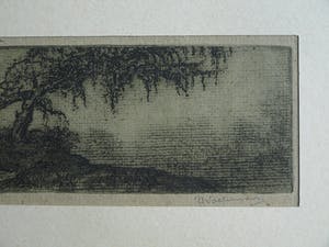 Jan Coenraad Nachenius - Ets , Landschap met boom – ca. 1945 kopen? Bied vanaf 1!