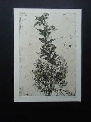 Jan Prins - BLOESEMTAK kopen? Bied vanaf 30!