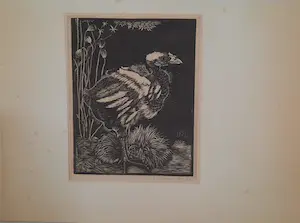 Jan Mankes - Nestkuiken kopen? Bied vanaf 1!