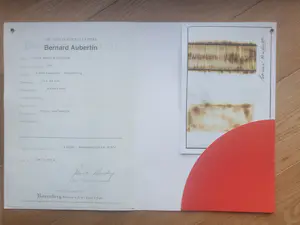 Bernard Aubertin - Livre brule Rosenburg - Verbrande lucifers in catalogus kopen? Bied vanaf 275!