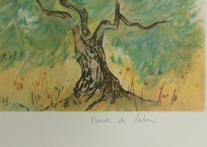 Marie de Valon - Provance kopen? Bied vanaf 25!