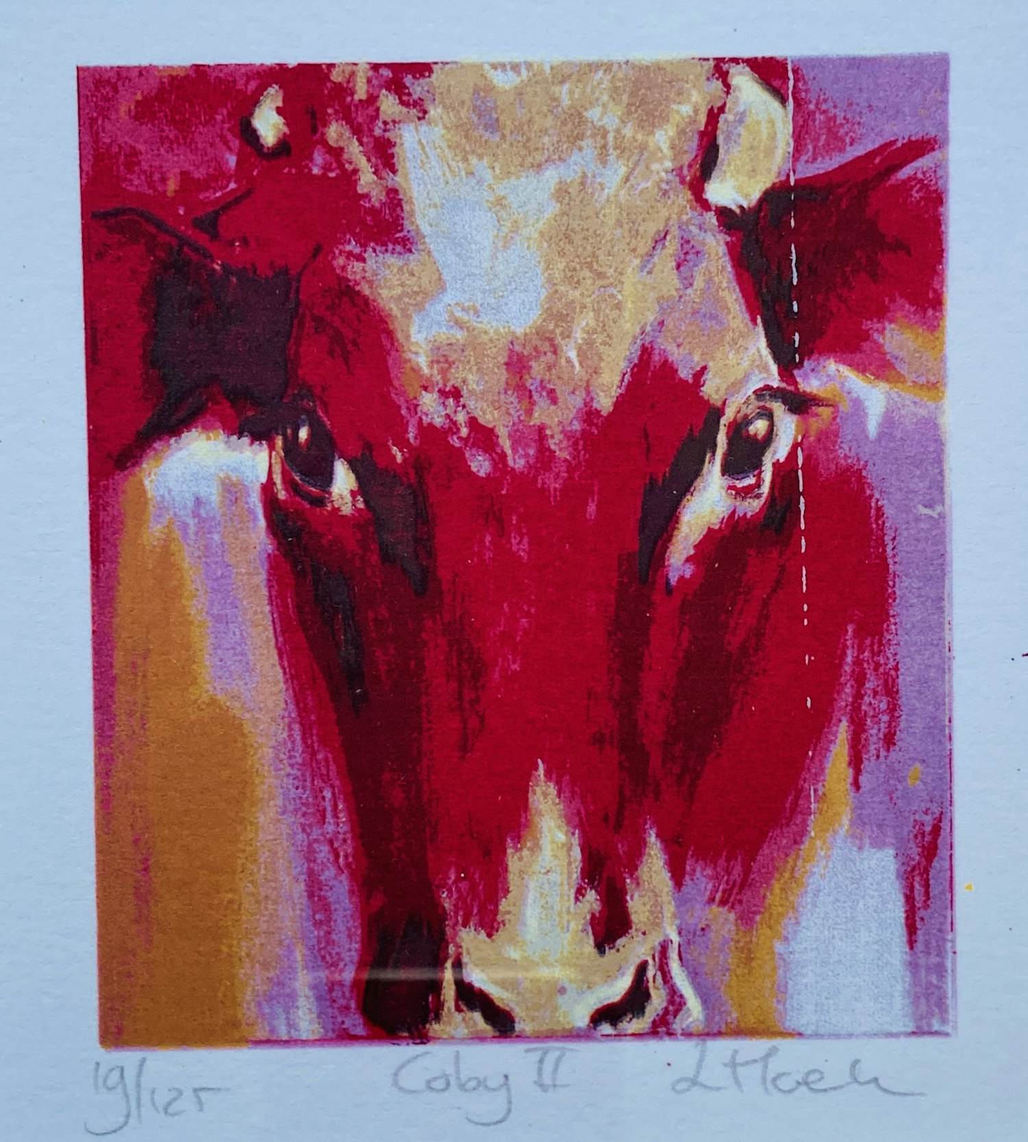 Laura Hoek - Coby II kopen? Bied vanaf 20!