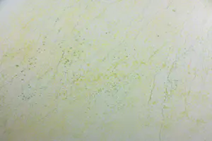 Janus Nuiten - Olieverf op doek, Structuur uit de bergen - Ingelijst (Groot) kopen? Bied vanaf 200!