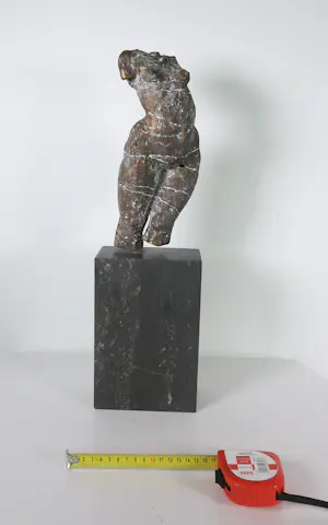 Gerard Engels - Brons, Vrouwentorso op hardstenen voet + 3 boeken! kopen? Bied vanaf 500!