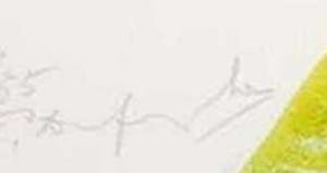 Pieter Defesche - Litho op papier, Zonder titel (Groot) kopen? Bied vanaf 1!