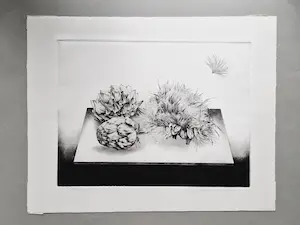 AcheterDick Stolwijk - Grote realistische -eigen druk- Ets "artisjokken" - potloodgesigneerd? Enchérissez de 1!