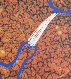 Marina Abramovic - handgesigneerde zeefdruk | 'Zonder titel' | 1991 kopen? Bied vanaf 250!