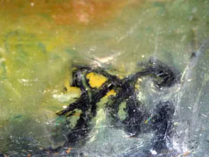 Niet of onleesbaar gesigneerd - Venus avec des enfants kopen? Bied vanaf 1!