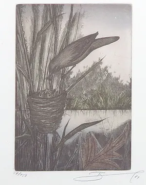 Rüdiger Brassel - Kleurenets, Vogel bij nest - Ingelijst kopen? Bied vanaf 1!