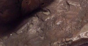 Pieter de Monchy - Staande beer kopen? Bied vanaf 175!