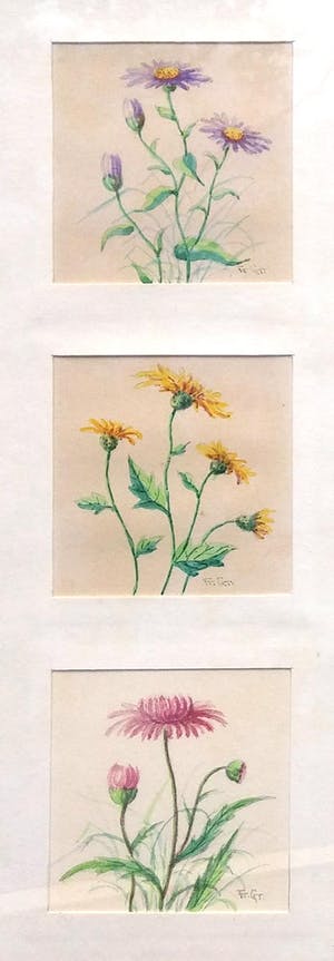 Niet of onleesbaar gesigneerd - Aquarel - lot van 3 x 3 bloemtekeningen kopen? Bied vanaf 1!